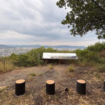 甲山山頂。
しかし、たどり着くまでの登山道は蜘蛛の巣が多すぎ。鬼滅の刃の那田蜘蛛山かw