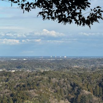 こっちはちゃんと太平洋らしく見えました