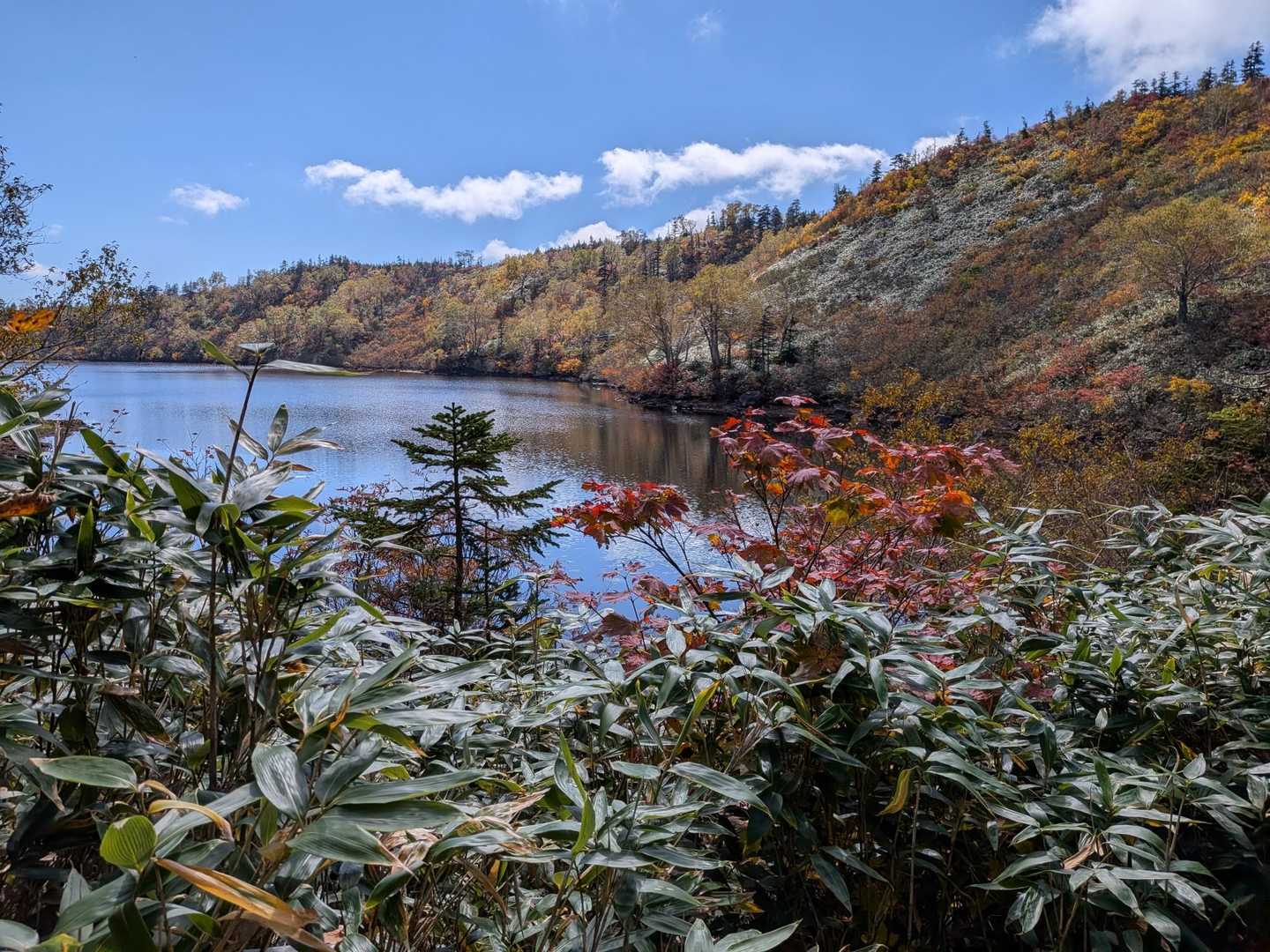 風吹岳（風吹登山口）の写真