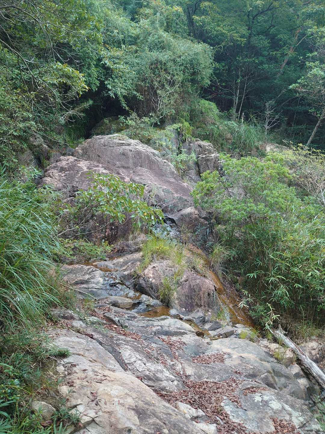 こんなん行けるかぁーー！！
早々に撤退を決め下山する。
