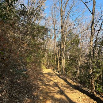 こよかさんともう一度三井山に登り