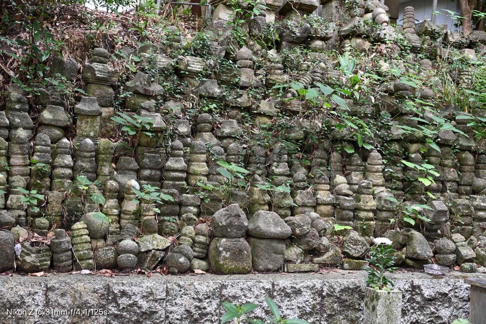 観音山 周回コースの写真
