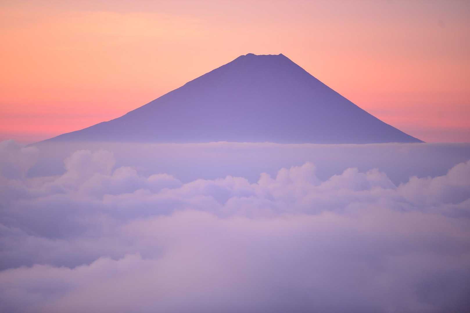 甘利山 | 駐車場から20分ほどで富士山の絶景へ。ツツジ群落も魅力の花の名山の写真