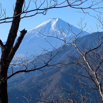 落葉後であればここからも少し富士山が見える。