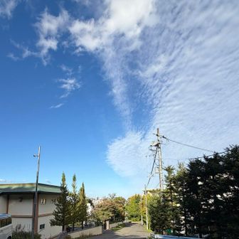 予報どおり晴れましたね