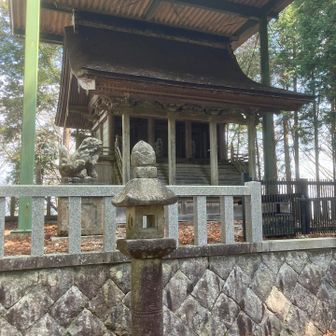 神社から右側に降りるとヒカリゴケ