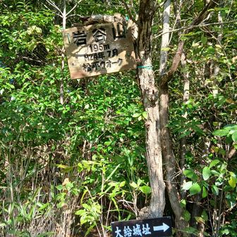 お社の屋根が見えたので無理くり下ったら展望台が。大給城址に向かう道は植物で埋まってた。
