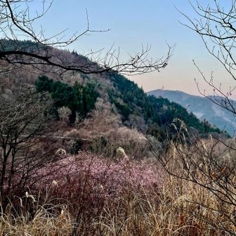 里山の気持ちいい景色👀♡