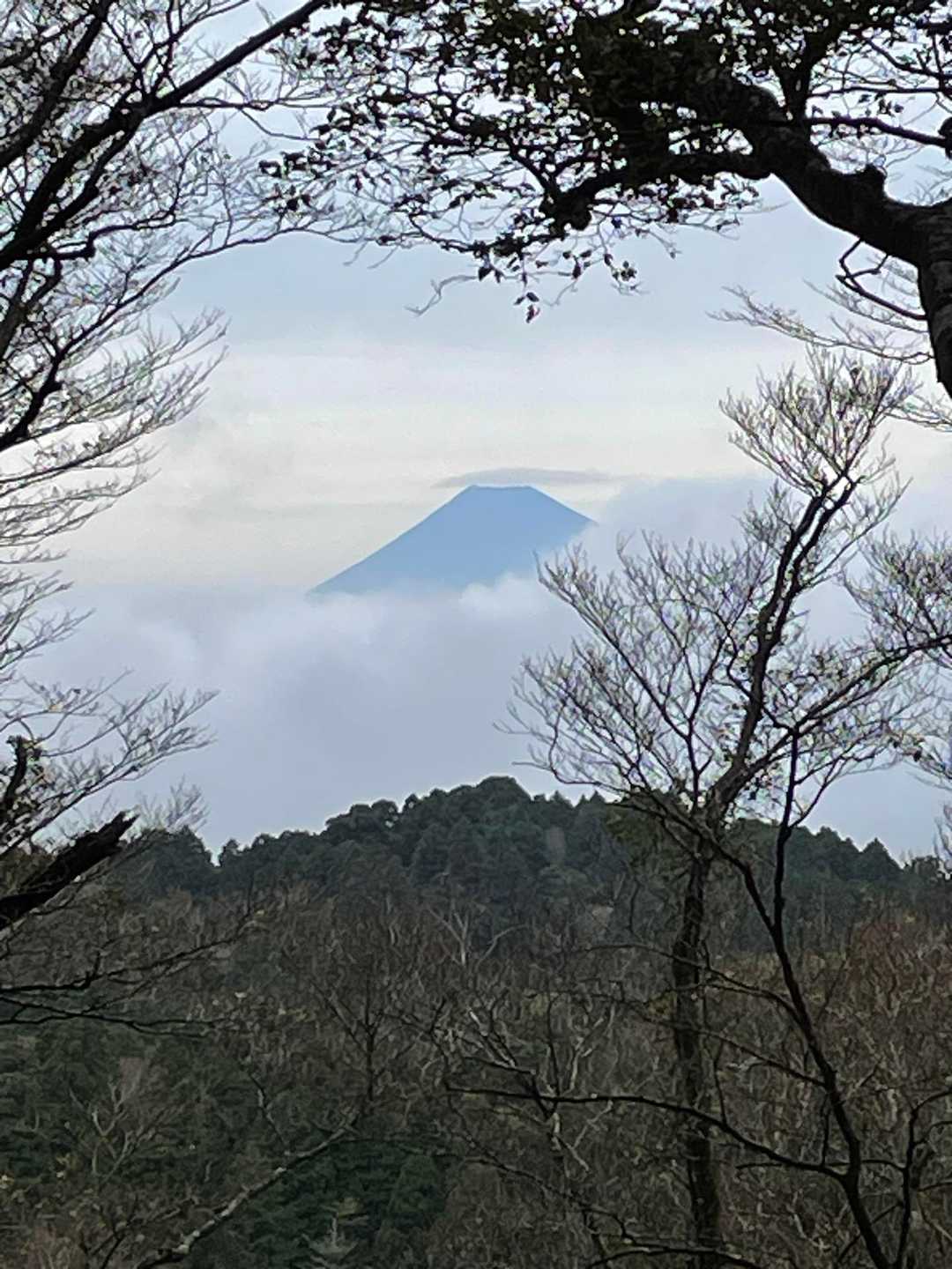 天城山縦走コースの写真