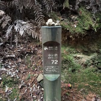 熊野古道 小辺路 オリエンテーリング