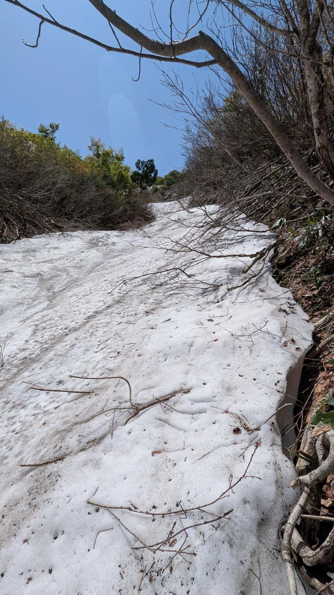白鳥山（坂田峠）の写真