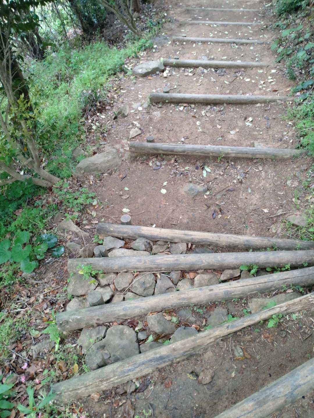 鏡山往復 | 唐津の美しい海を一望。登山口近くには「鏡山温泉」もの写真
