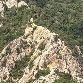 結構な道です。
区間は短く幅もあるので危険な感じはしませんが。
