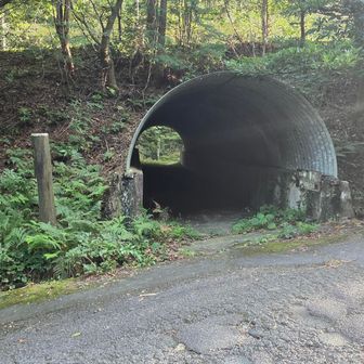 菰野富士はパス。