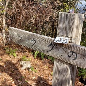 上ったり下ったりやっと次の山…