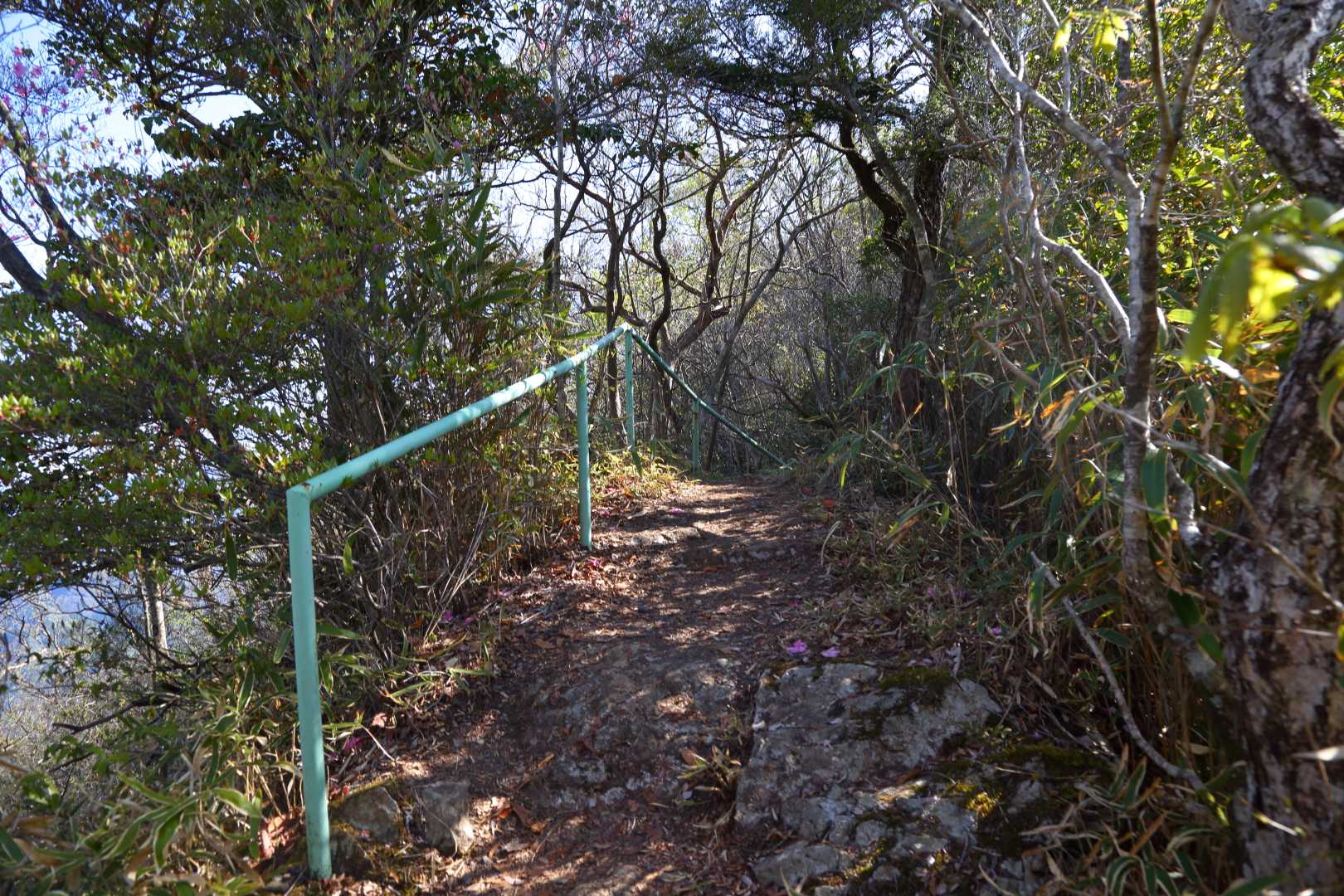 杉が越-二上山女岳展望台登山口-二上山 往復コースの写真