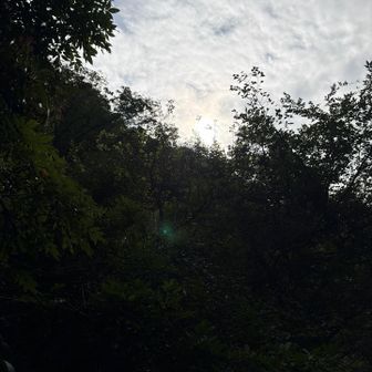 ちょっと晴れて来た☀️