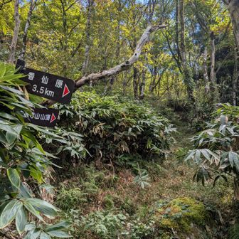 奥が山頂。