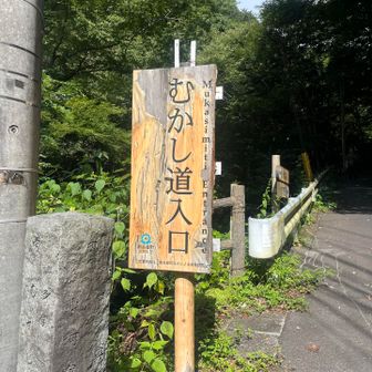 むかし道入口を進みます
