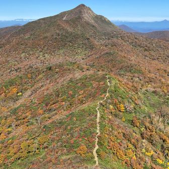 旭岳方面の紅葉が素晴らしかった。
画像だと赤がくすんでしまうのが残念だ。