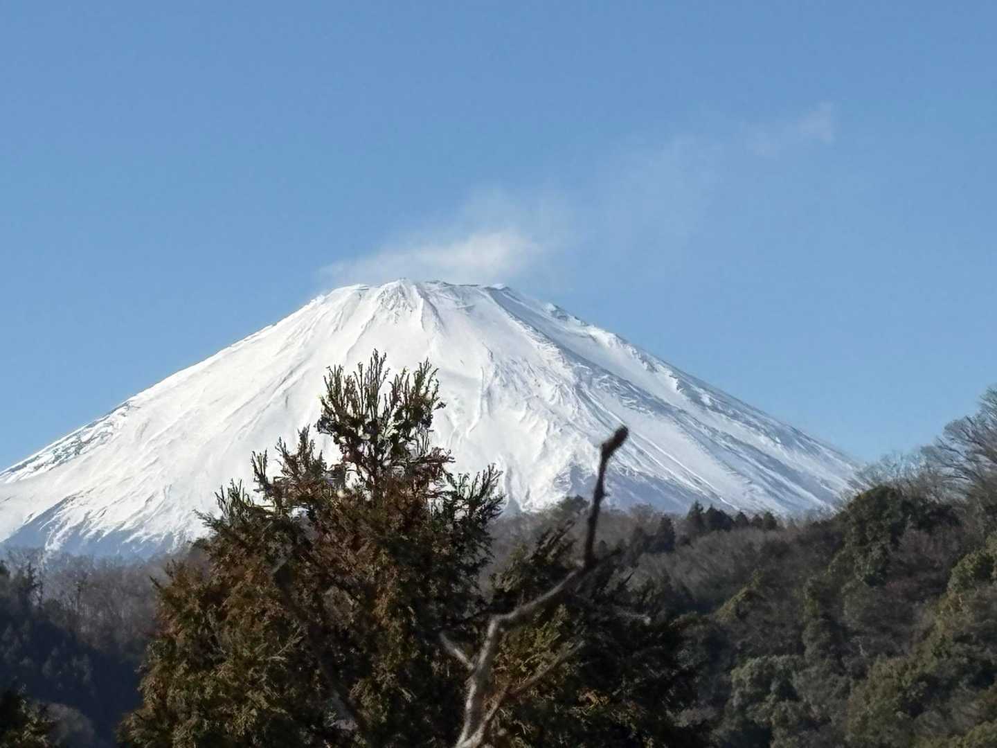 一日中富士山観れて🗻強風でも頑張れました