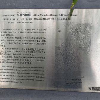 ここは平井古墳群