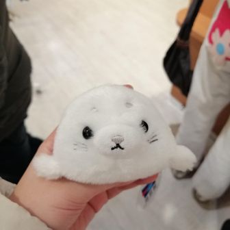 ゆりん