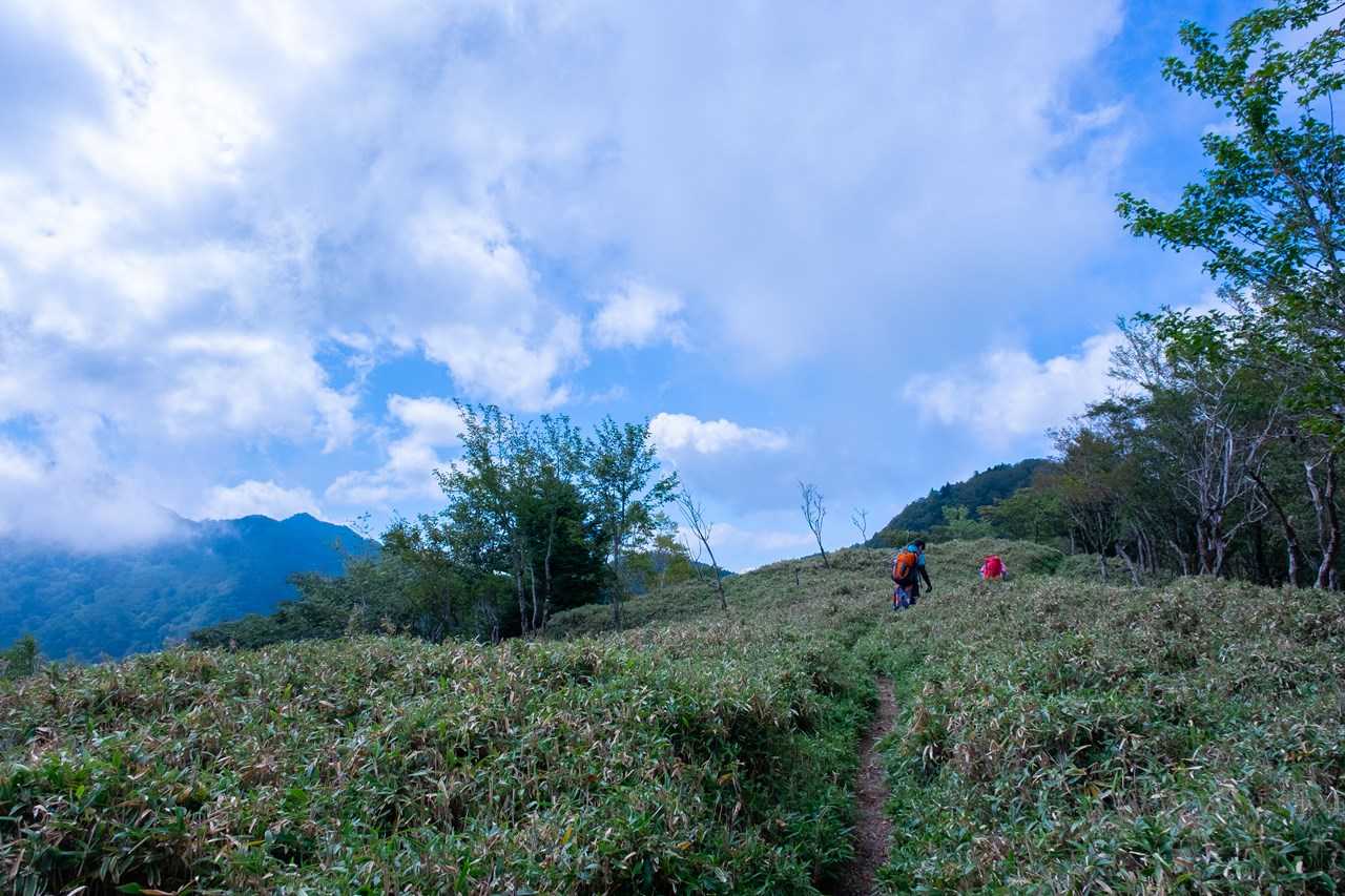 白滝山-石堂山 往復コースの写真