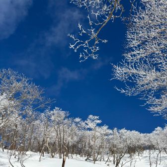 山頂へ向かう途中
ひゃーーーなんと綺麗な😍