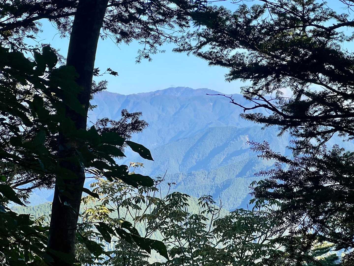 チラッと
高城山⛰️の レーダードームが見えた👀✨