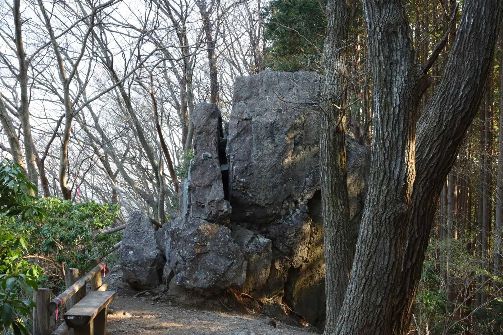 尾根道分岐まで戻ってきました
