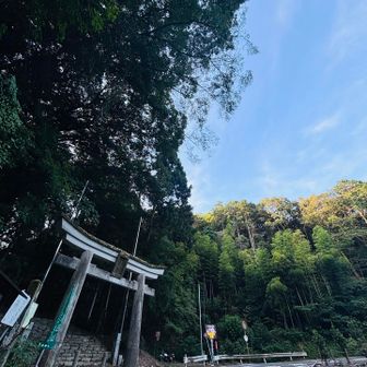 参拝登山口
晴れ渡る青空と言いたいところですが
雨よー☔
ほどよく降ってくれー