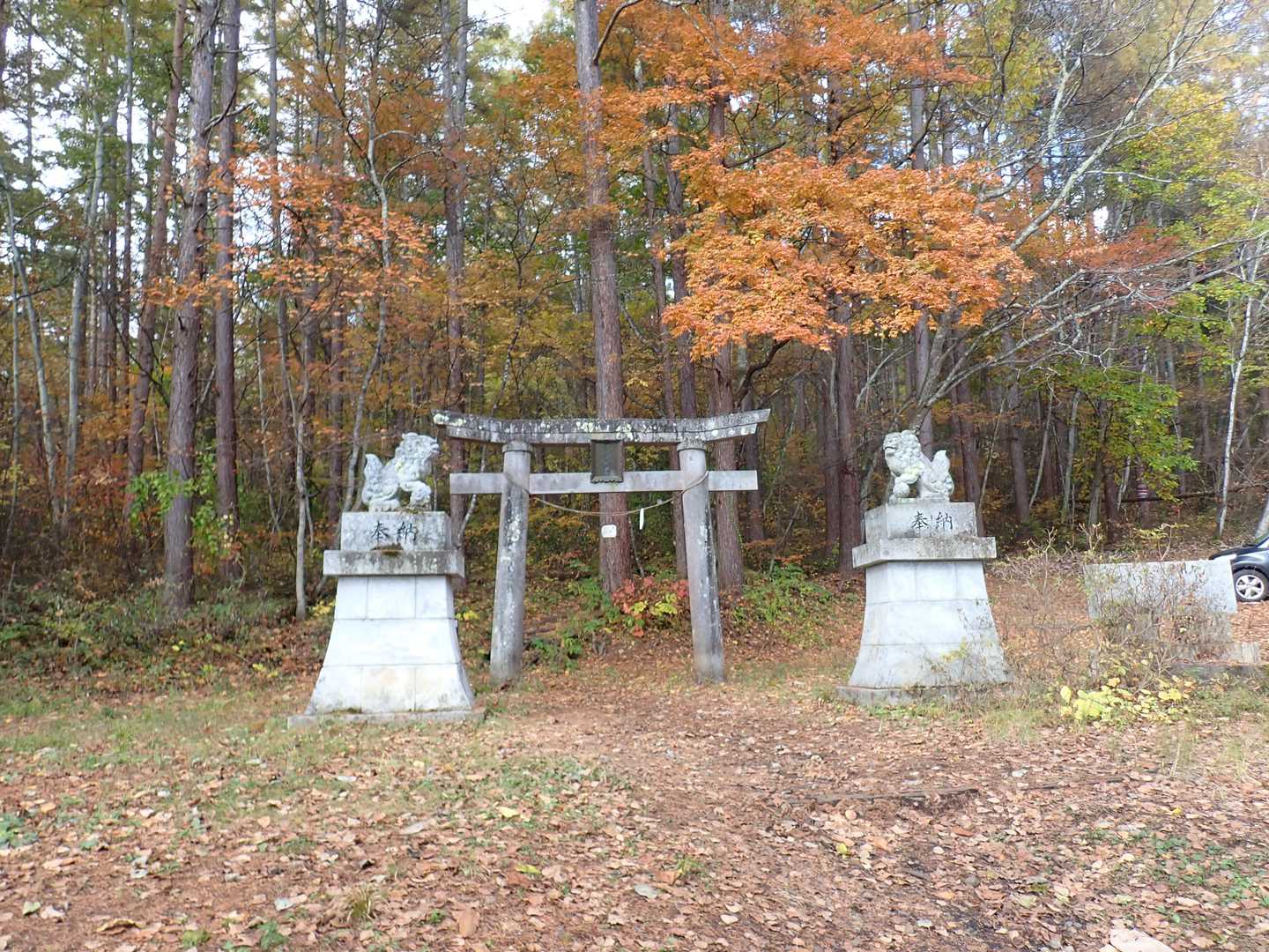 よろしくお願いします🙏