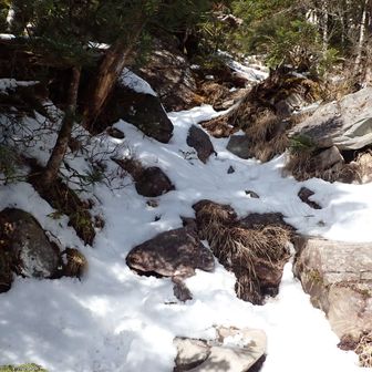 岩場を登って行く。