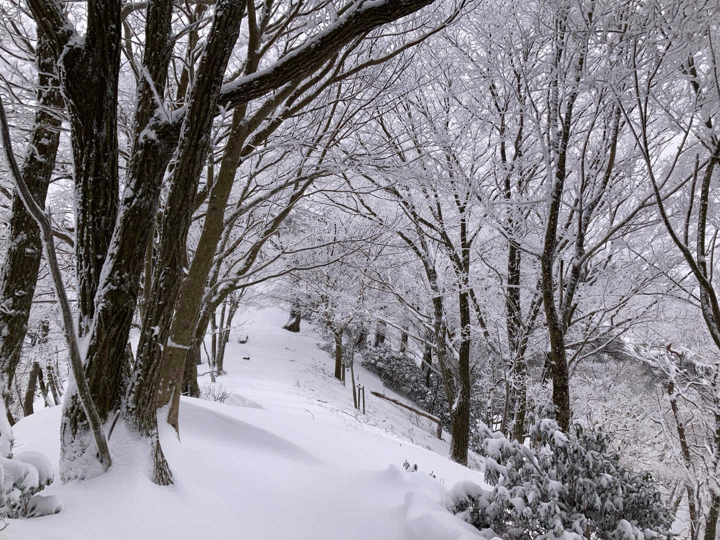 東山 周回コースの写真