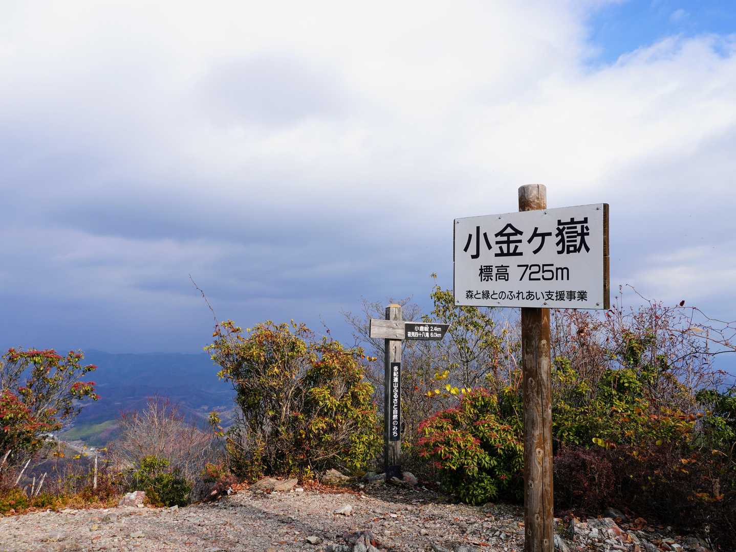 登頂〜‼️