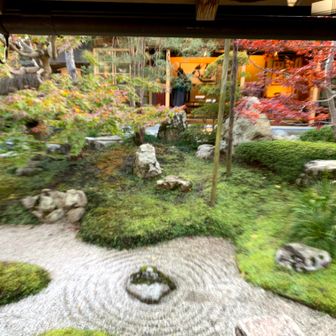 素敵なお庭

中庭は比叡山と琵琶湖を模した築山枯山水