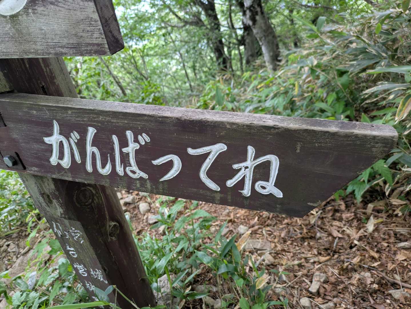 ひゃい