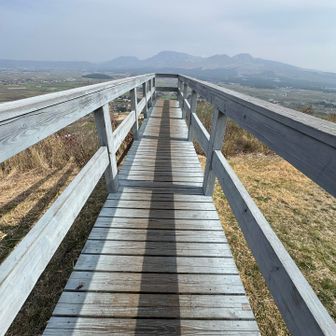 桟橋を渡ります