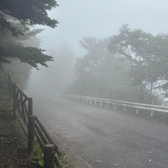 下山は国民宿舎でなく土小屋本ルートの登山口へ下山(モンベル行きたかったし)
天候は相変わらずです
