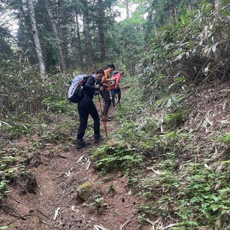 腰と膝に爆弾抱えてる民達は新たな下山方法を発案したらしい🥹🫶
名付けて『背後歩き』😇