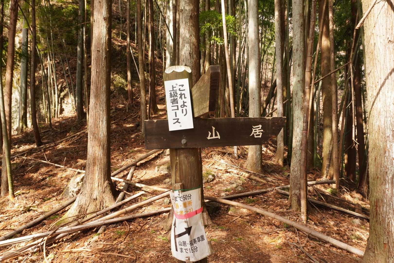 ここから鎖場のある上級者コースだけど
迂回するか迷うこともなく