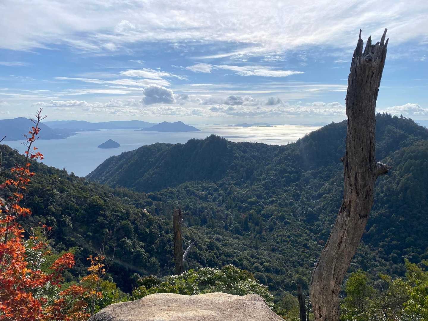 弥山登山道入口-弥山-駒ヶ林 縦走コースの写真