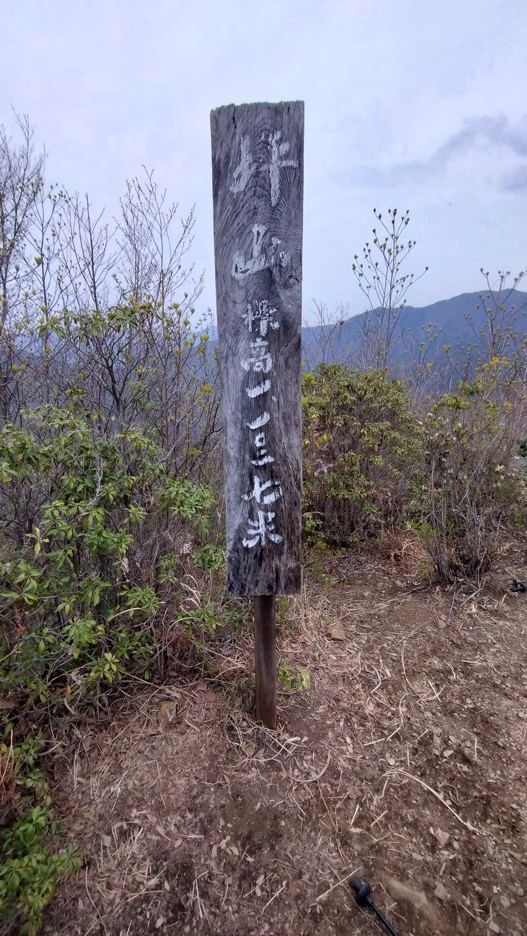 登頂しました。