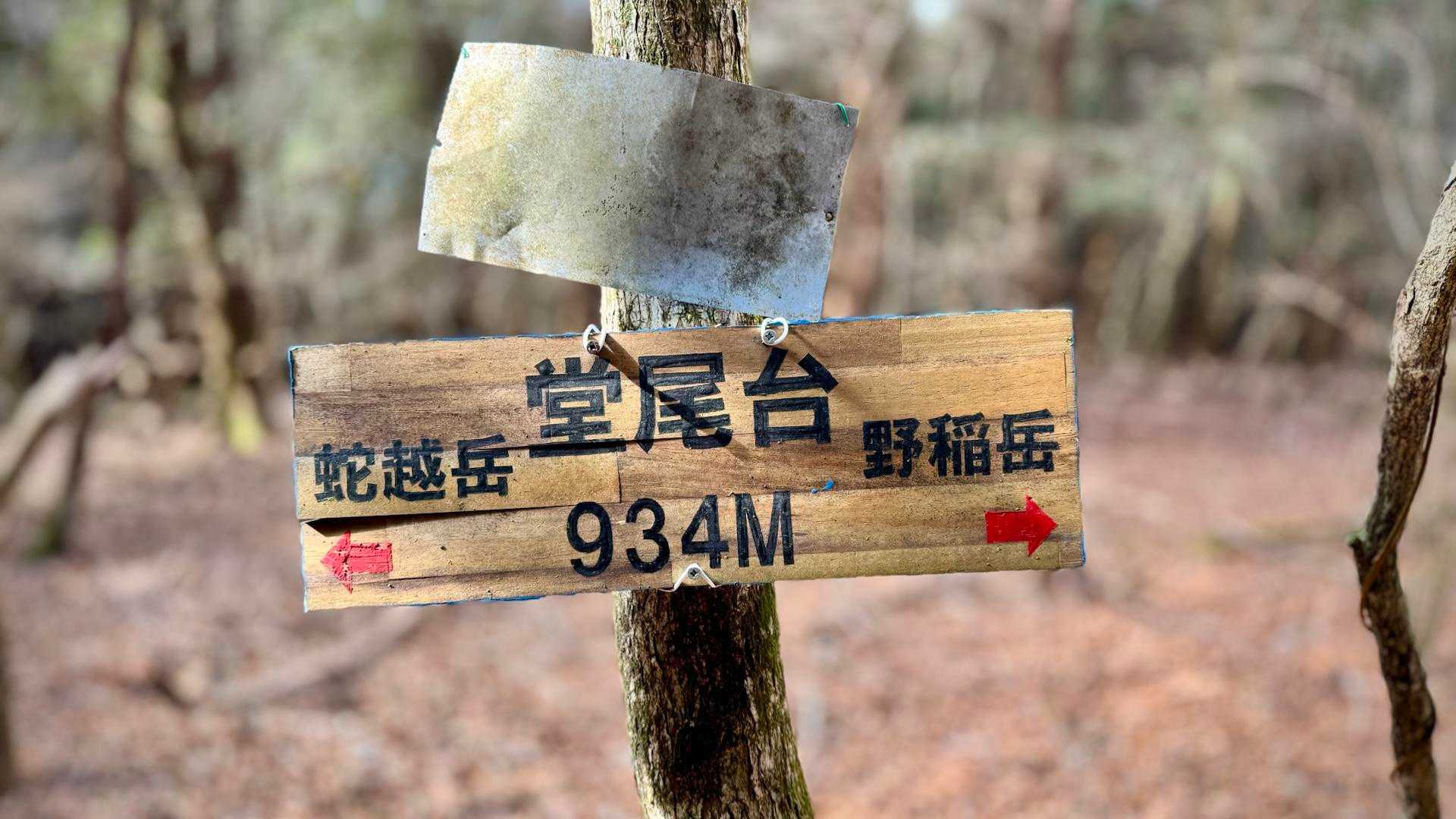 尾根道途中の ちょっとした丘的なポイントに“童尾台 934m”の看板♪
YAMAPにピーク表記はありません