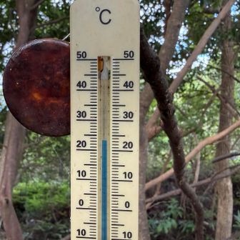 今日は涼しい
気温は23℃