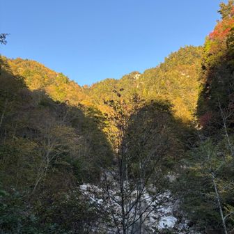 秋晴れが気持ちいい〜