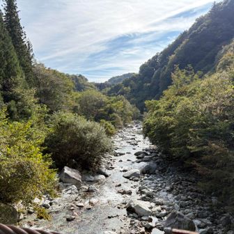 清らかな、南アルプスの天然水