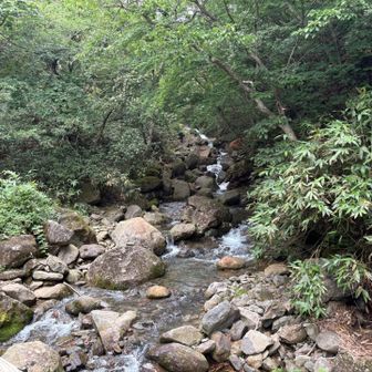 烏川上流