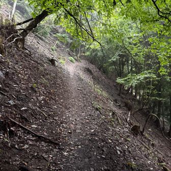 道は平らかではあるが、右側は、落ちたら万事休すの険しい崖だ。